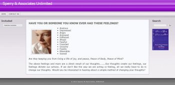 Sperry & Associates Unlimited